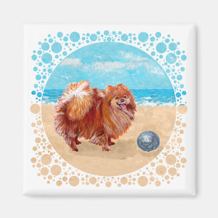 Pomeranian aan de kust magneet