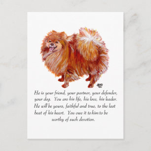 Pomeranian Aandenken Man Briefkaart