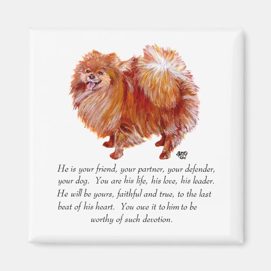 Pomeranian Aandenken Man Magneet (Voorkant)
