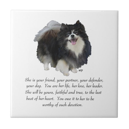 Pomeranian Aandenken Vrouwelijk Tegeltje (Voorkant)