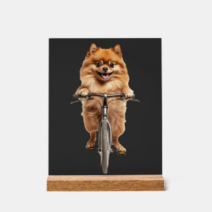 Pomeranian Acryl Bord