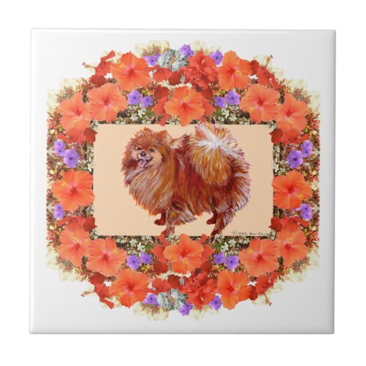 Pomeranian Bloem Tegeltje (Voorkant)
