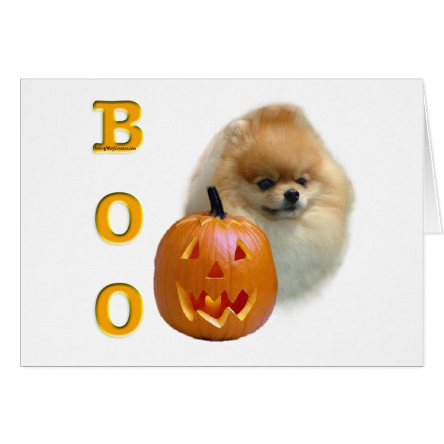 Pomeranian Boo (Voorkant Horizontaal)