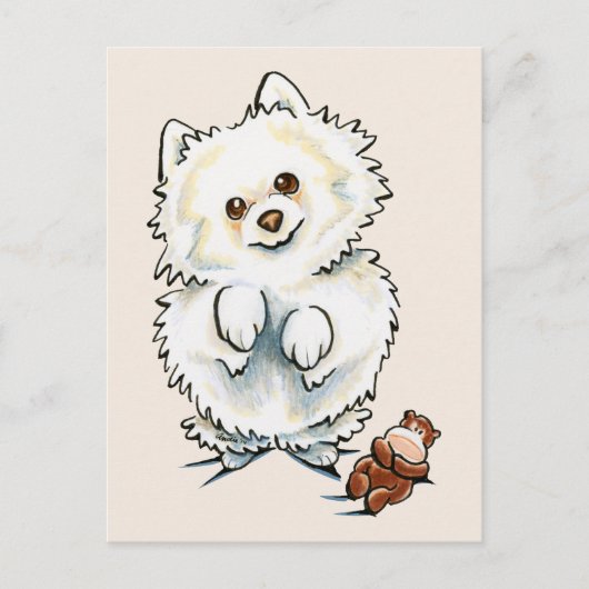 Pomeranian Boo Boo Briefkaart (Voorkant)
