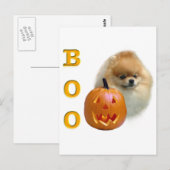 Pomeranian Boo Briefkaart (Voorkant / Achterkant)