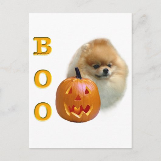 Pomeranian Boo Briefkaart (Voorkant)