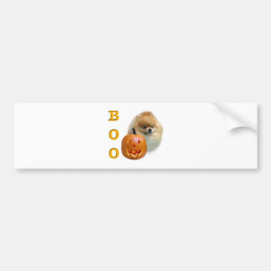 Pomeranian Boo Bumpersticker