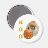 Pomeranian Boo Magneet (Voorkant / Achterkant)