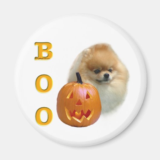Pomeranian Boo Magneet (Voorkant)