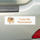 Pomeranian Bumpersticker (Op auto)