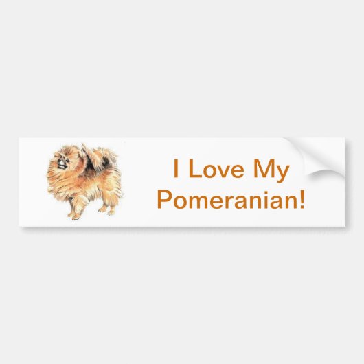 Pomeranian Bumpersticker (Voorkant)