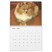 Pomeranian Calendar Kalender (Mar 2027)