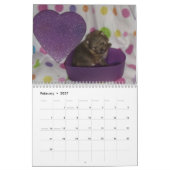 Pomeranian Calendar Kalender (Feb 2027)