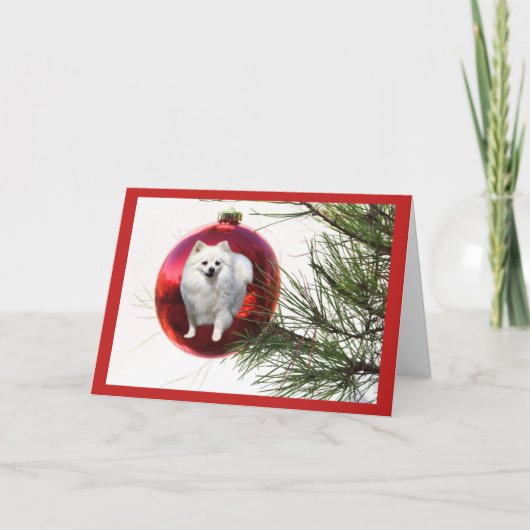 Pomeranian Christmas Kaart Red Ball (Voorkant)