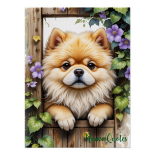 Pomeranian die door een houten hek gluurt perfect poster