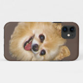 Pomeranian Dog  Case-Mate iPhone Case (Achterkant (horizontaal))