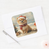 Pomeranian Dog Christmas  Beach Vierkante Sticker (Envelop)