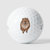 Pomeranian Dog Golfballen (Voorkant)