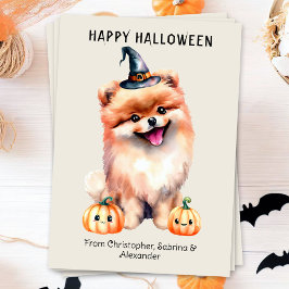 Pomeranian Dog Happy Halloween Feestdagenkaart