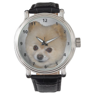 Pomeranian Dog Horloge