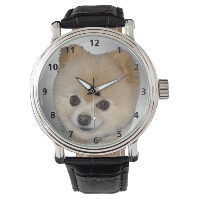 Pomeranian Dog Horloge (Voorkant)
