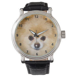 Pomeranian Dog Horloge
