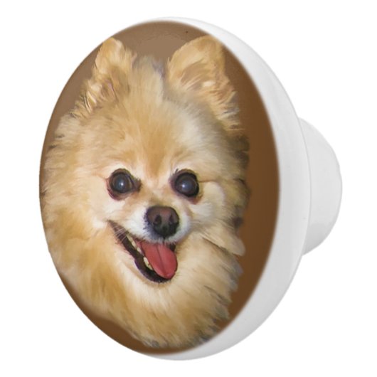 Pomeranian Dog  Keramische Knop (Rechts)