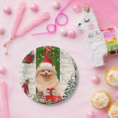 Pomeranian Dog Kerstmis Papieren Bordje (Feest)