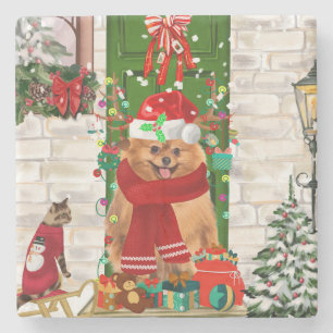 Pomeranian Dog Kerstmis Stenen Onderzetter