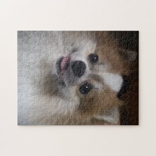 Pomeranian Dog Legpuzzel (Horizontaal)