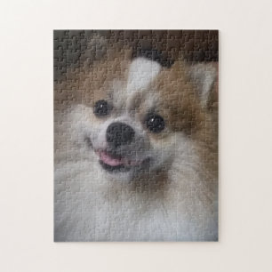 Pomeranian Dog Legpuzzel