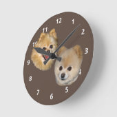 Pomeranian Dog  Ronde Klok (Hoek)