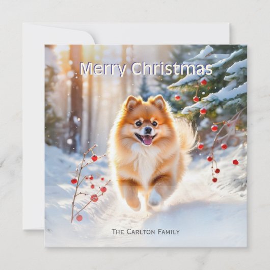 Pomeranian Dog Snow Afbeelding Vrolijk Kerstfeest Feestdagenkaart (Voorkant)
