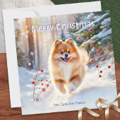 Pomeranian Dog Snow Afbeelding Vrolijk Kerstfeest Feestdagenkaart