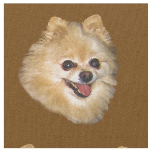 Pomeranian Dog  Stof (Close Up)