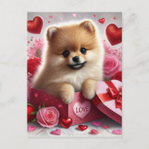 Pomeranian Dog Valentijnsdag Holiday Briefkaart