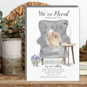Pomeranian Dog   Verplaatsingsaankondiging Aankondiging