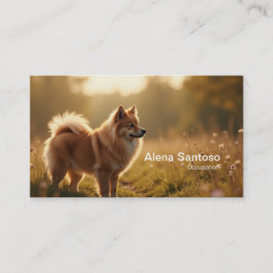 Pomeranian Dog Visitekaartje