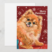 Pomeranian Feestdagenkaart (Voorkant / Achterkant)