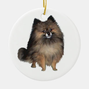 Pomeranian - gestreept keramisch ornament
