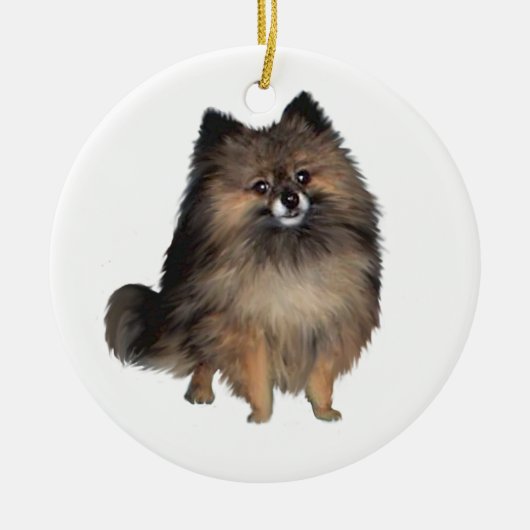 Pomeranian - gestreept keramisch ornament (Voorkant)