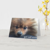 pomeranian get well soon card kaart (Gele Bloem)