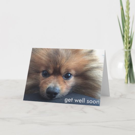 pomeranian get well soon card kaart (Voorkant)
