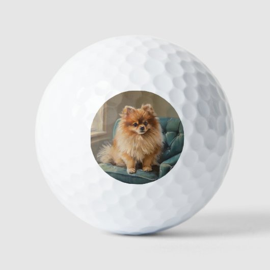 Pomeranian Golfballen (Voorkant)