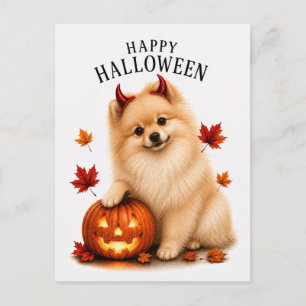 Pomeranian Halloween Briefkaart