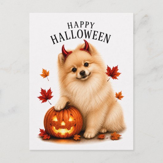 Pomeranian Halloween Briefkaart (Voorkant)