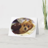 Pomeranian Happy Birthday Kaart (Achterkant)