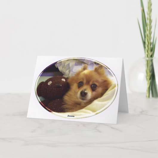 Pomeranian Happy Birthday Kaart (Achterkant)