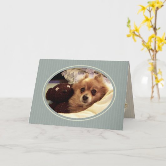 Pomeranian Happy Birthday Wishes Kaart (Gele Bloem)