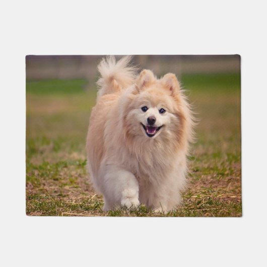 Pomeranian hond. deurmat (Voorkant)